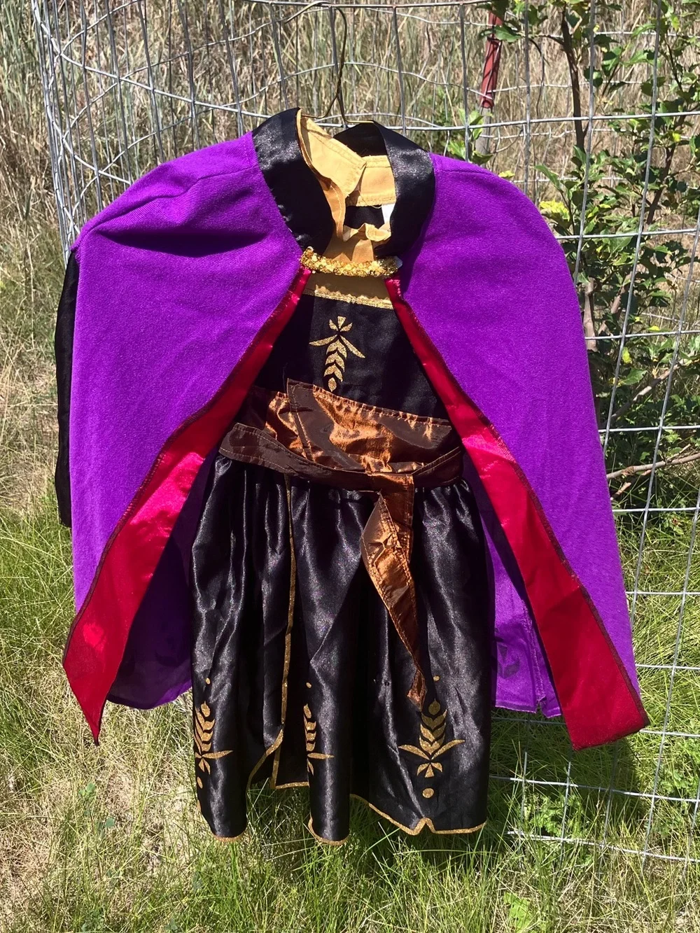 Frozen 2 Anna Costume
